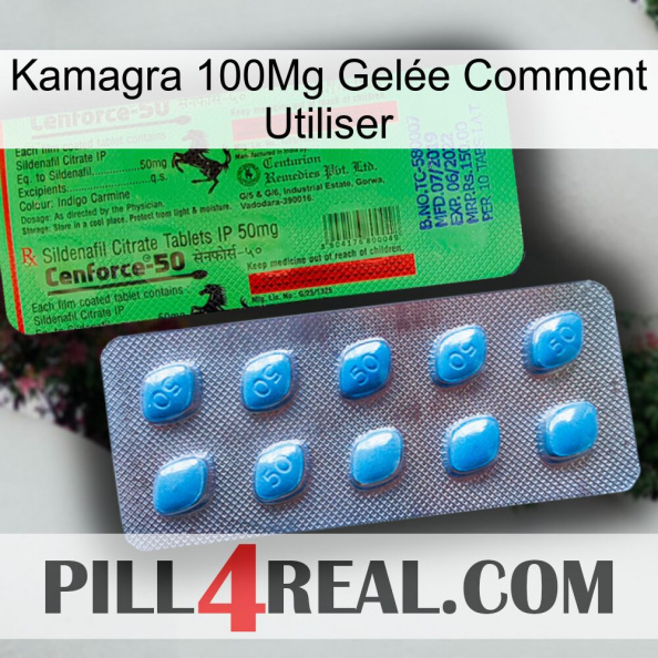 Kamagra 100Mg Gelée Comment Utiliser new03